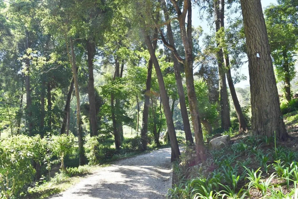 General view, Eighteen21 Houses - Quinta Velha, Lisbon
