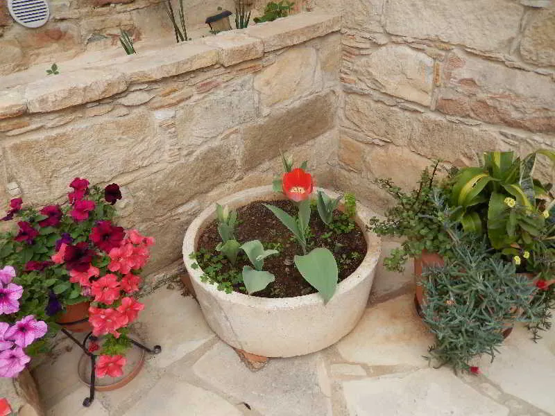 General view, Nikis House, Cyprus