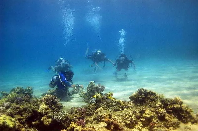 Sports and Entertainment, Nubian Island Hotel, Red Sea Riviera