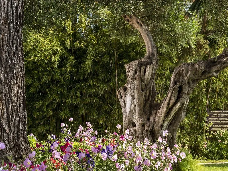 Terrace, Kontokali Bay Resort & Spa, Corfu