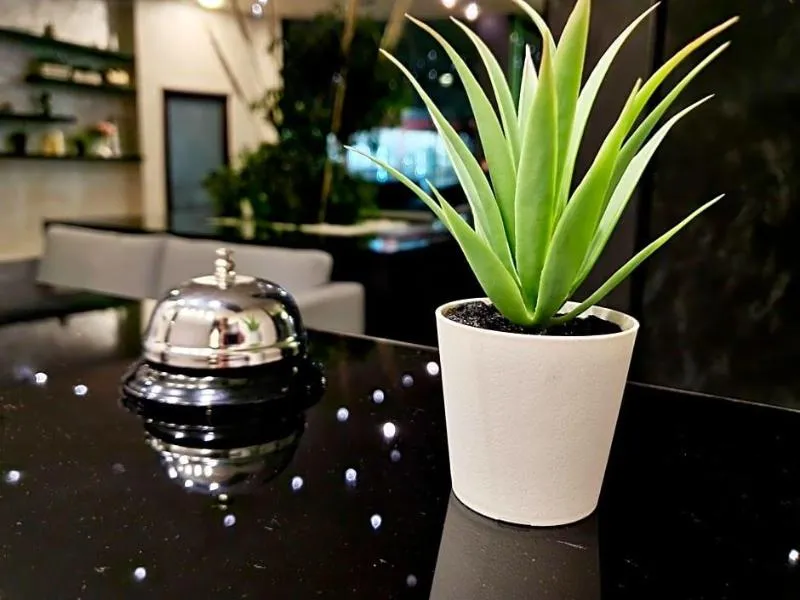 Lobby, Juli, Bourgas