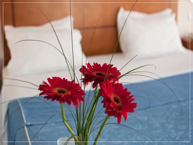 SINGLE STANDARD Room, Nelas Parc, Porto