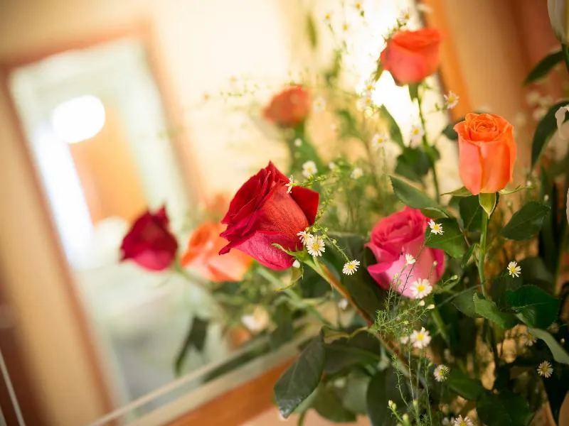 Room, Albergo Montreal, Florence