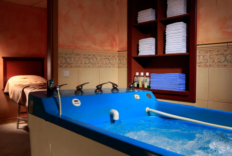 Sports and Entertainment, Orea Spa Hotel Bohemia, Prague