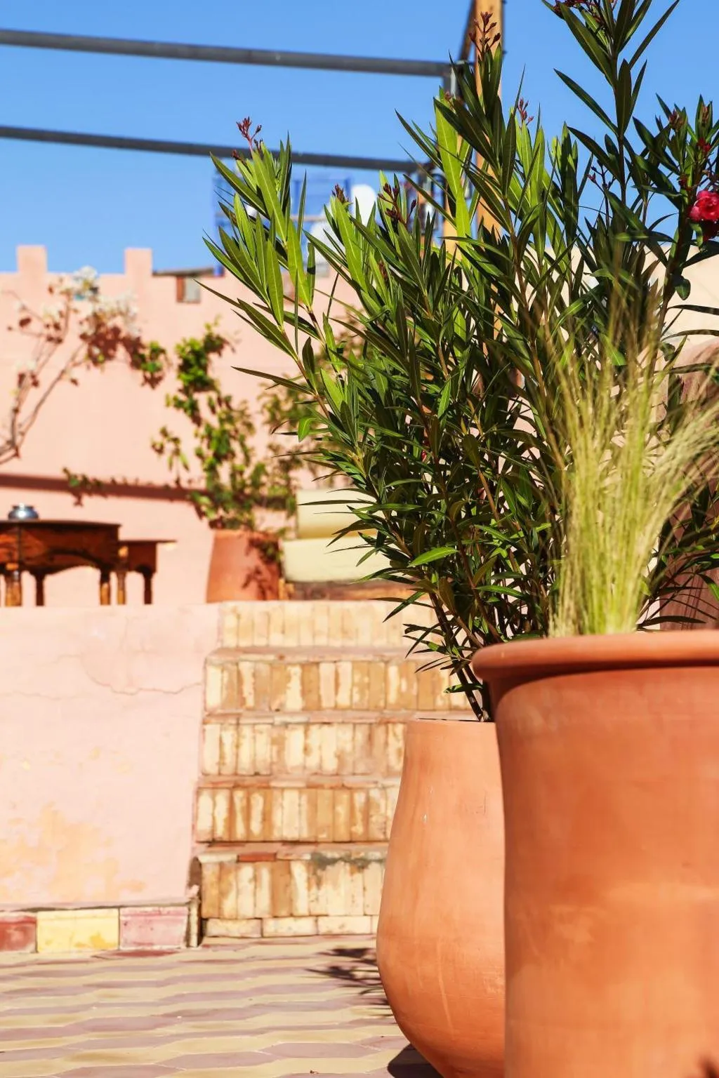 General view, Riad Laila, Marrakech