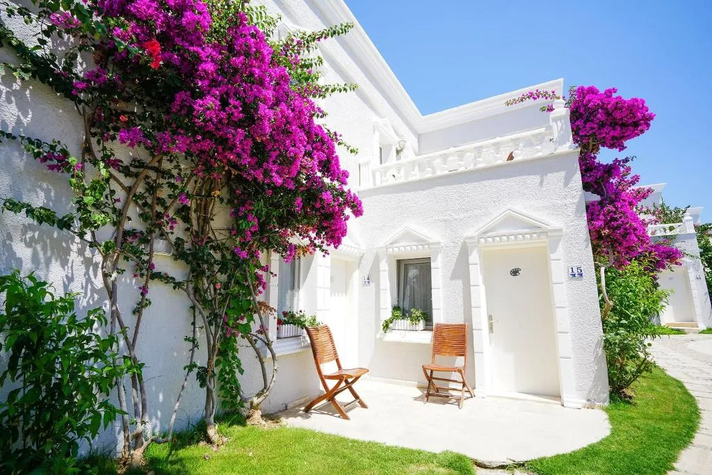 General view, Art Suites, Bodrum