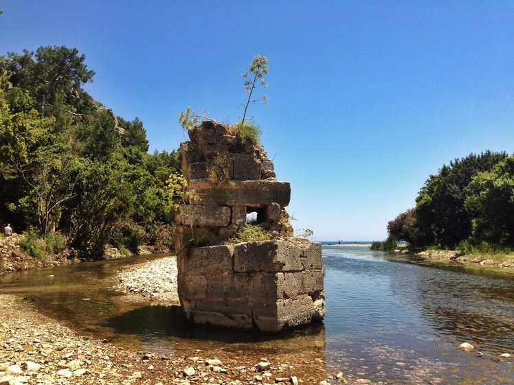Kadir's Tree House, Antalya