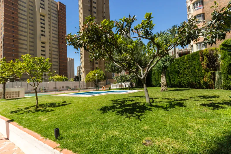 Pool, Apartamentos  Gemelos Beninter, Costa Blanca