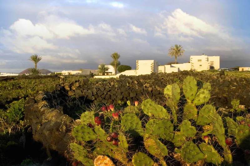 General view, Casa Tomaren, Lanzarote