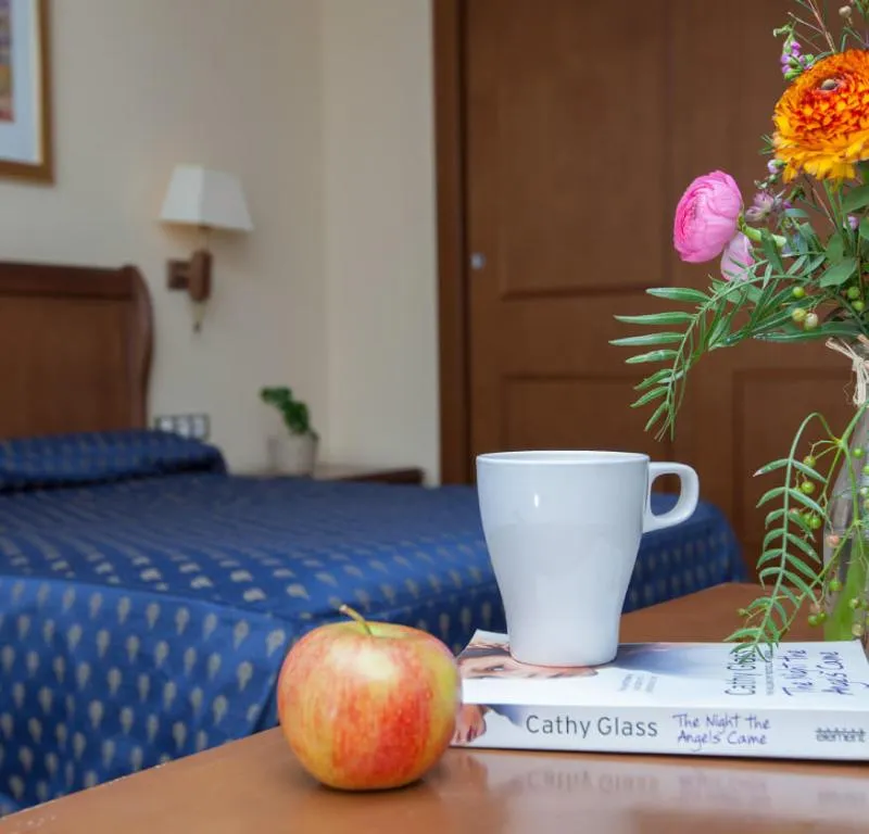SINGLE STANDARD Room, Dorma Juan De Austria, Madrid