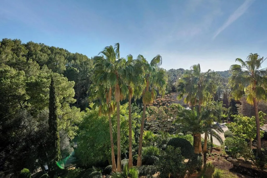 JUNIOR SUITE STANDARD Room, Sheraton Mallorca Arabella Golf Hotel, Majorca