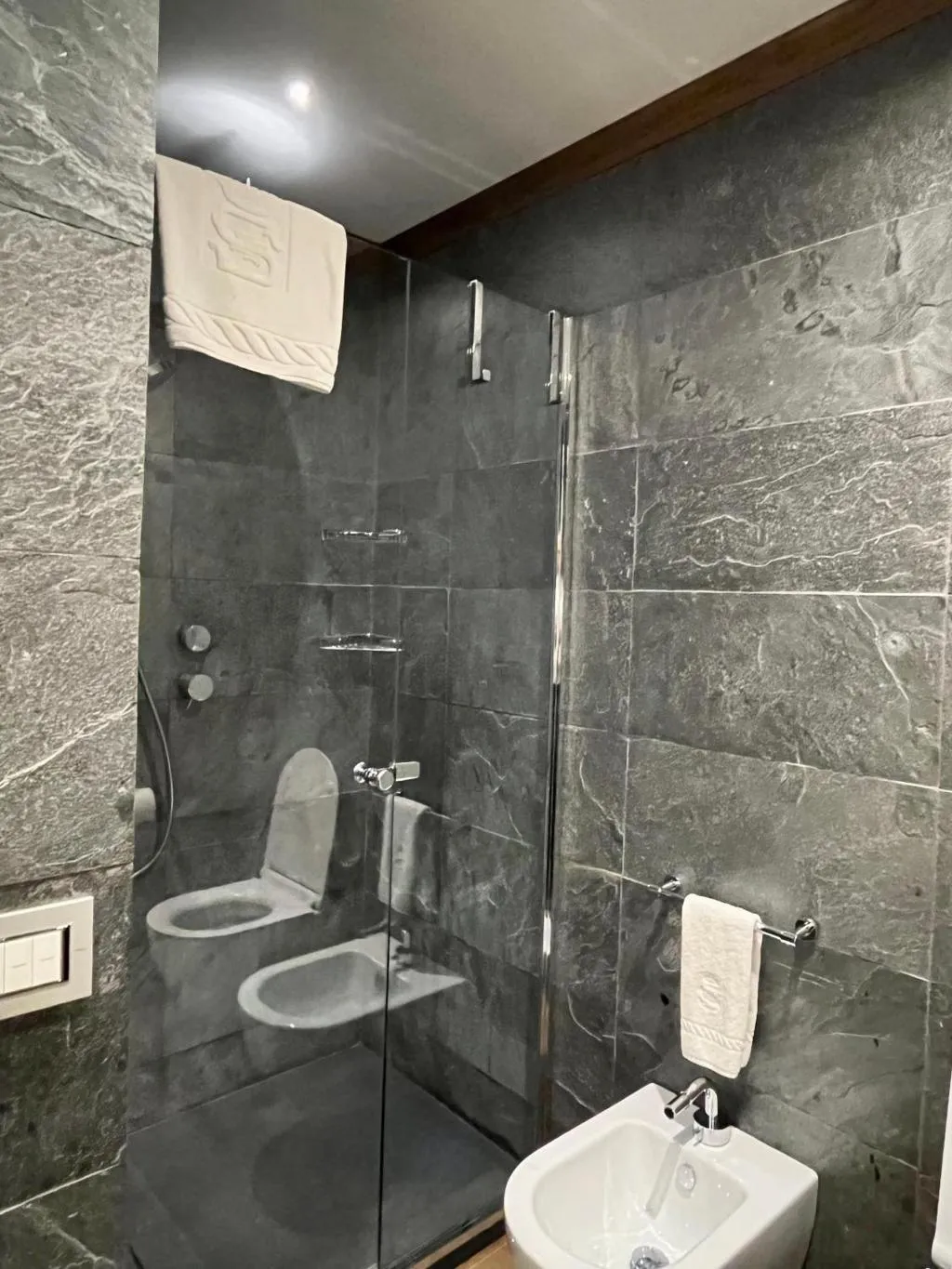 SUITE STANDARD Room, Villa Spalletti Trivelli, Rome