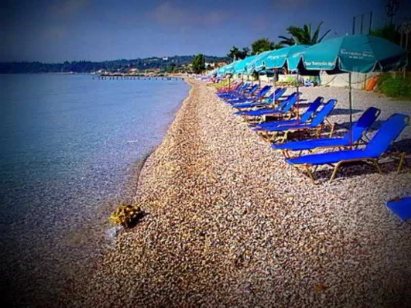 General view, Comfy Hostel Studios, Corfu