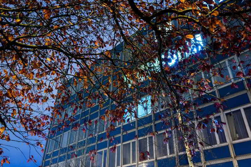 General view, Dom Turystyczny Indigo, Krakow