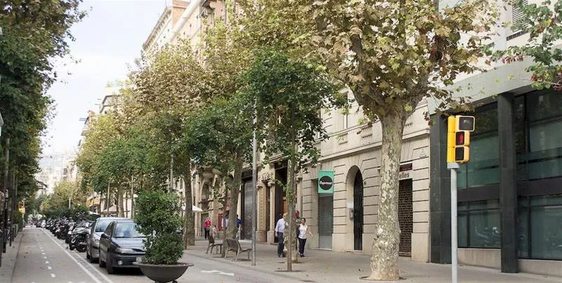 General view, Forget Me Not, Barcelona