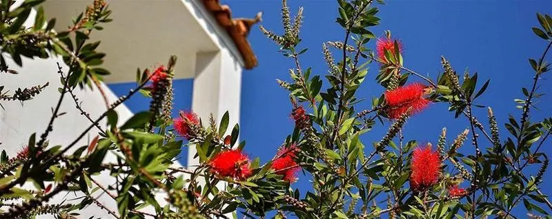 General view, Sunny Days, Kos