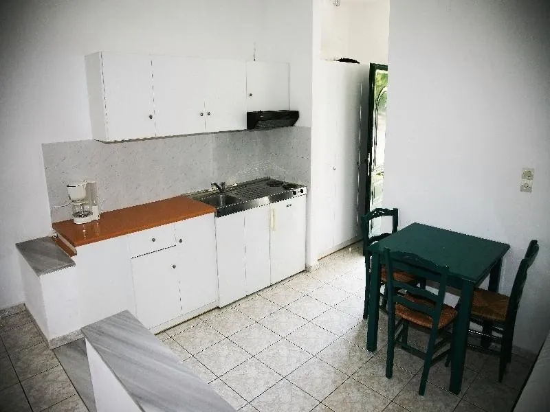STUDIO CAPACITY 2 Room, Zeus, Samos