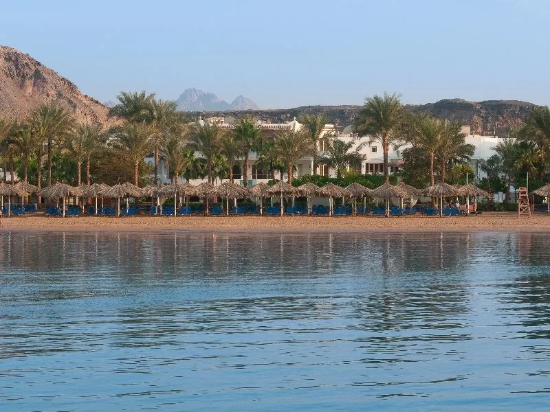 Beach, JAZ Elite Palace - Adults Only, Red Sea Riviera