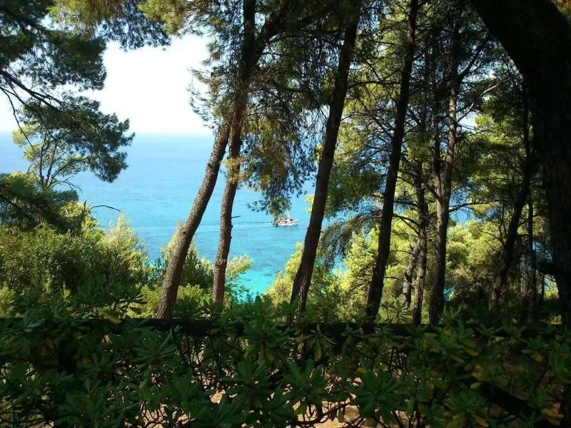General view, Dryades, Halkidiki