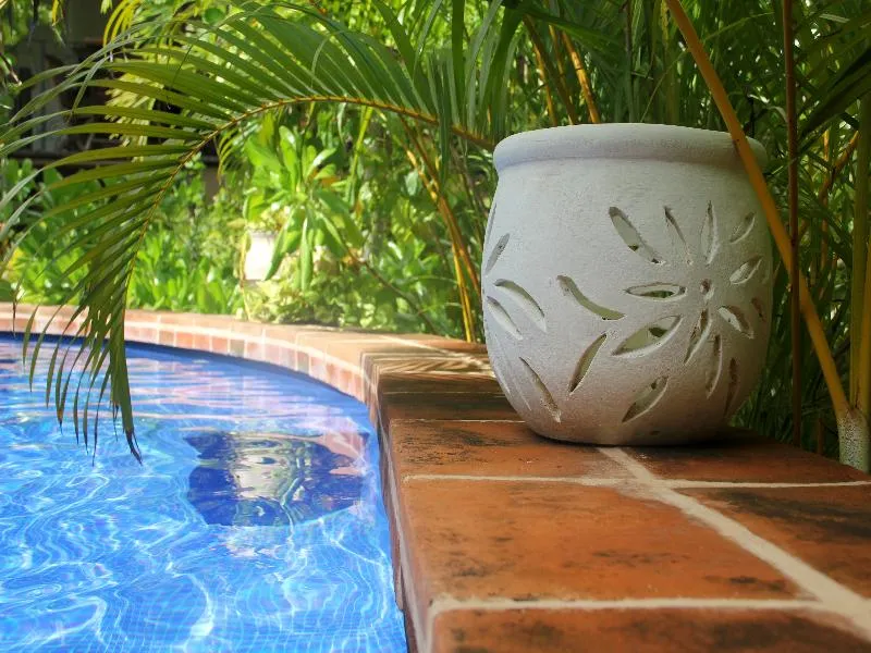 Pool, La Pasion Hotel Boutique by Bunik, Playa Del Carmen