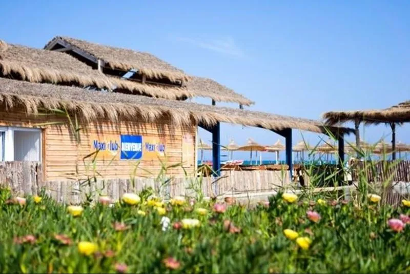 Beach, Le Zenith, Tunisia