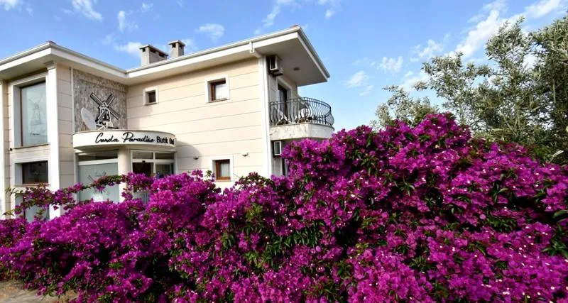 General view, Cunda Paradise Otel, Izmir