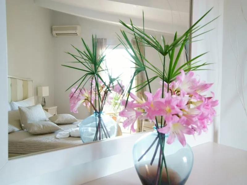 Room, Cameo Beach Resort, Zante