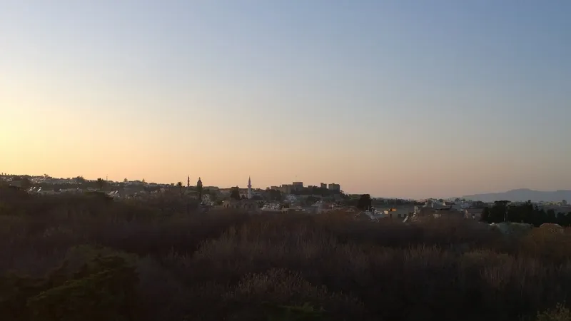 General view, Athineon, Rhodes