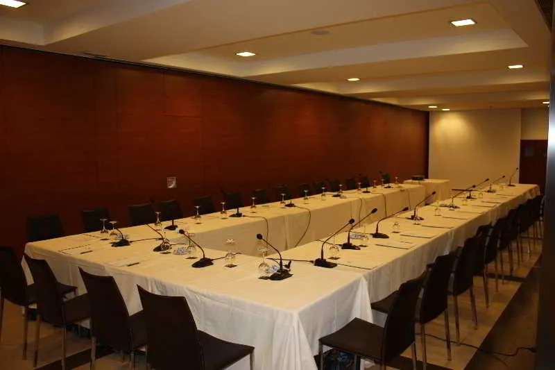 Conferences, Hotel Torremangana, Madrid