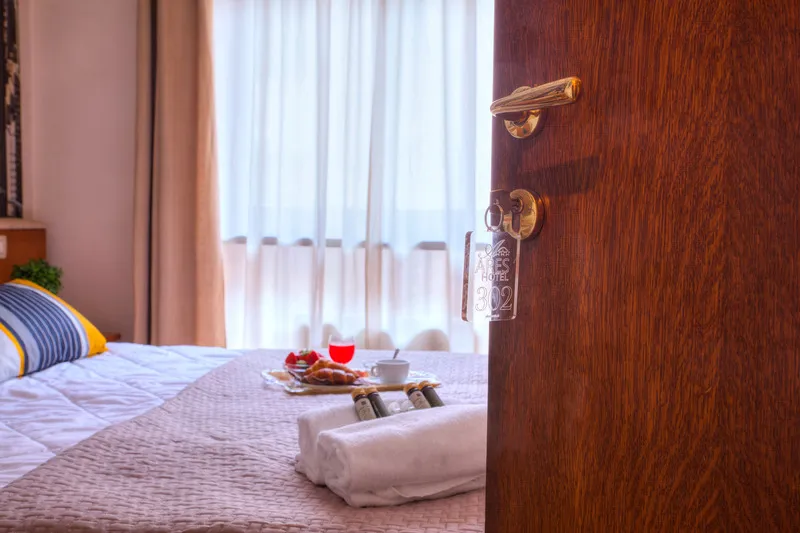 DOUBLE STANDARD Room, Ares Hotel Milano, Milan