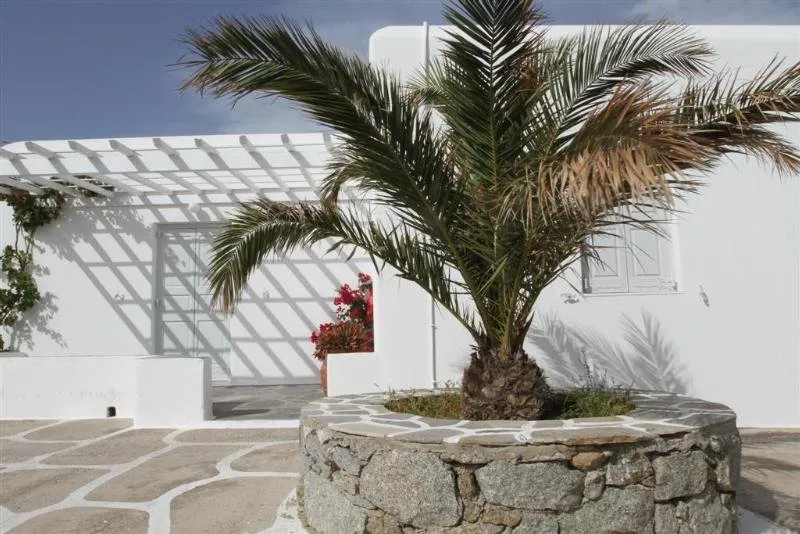 General view, Anna Maria Studios, Mykonos