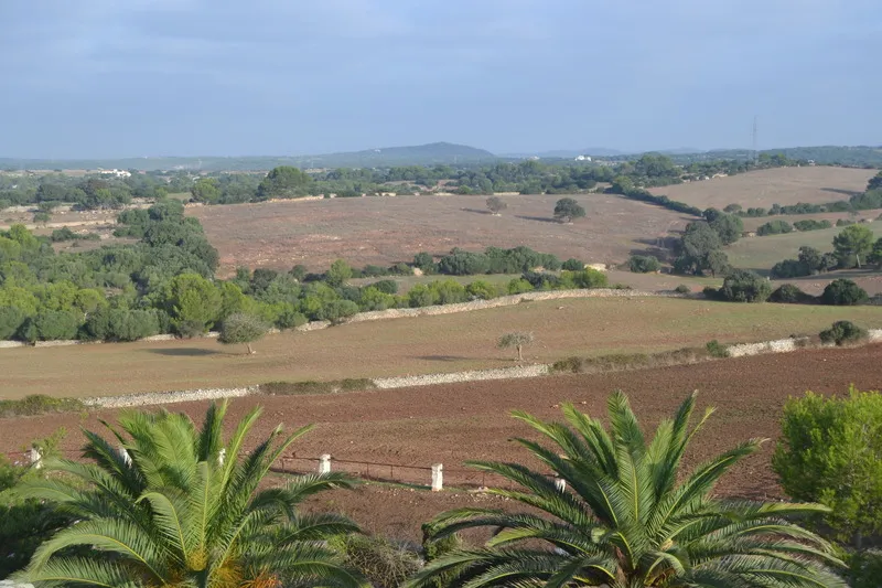 General view, Son Triay, Menorca