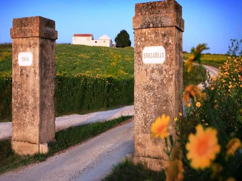 General view, Tenuta Stoccatello, Catania