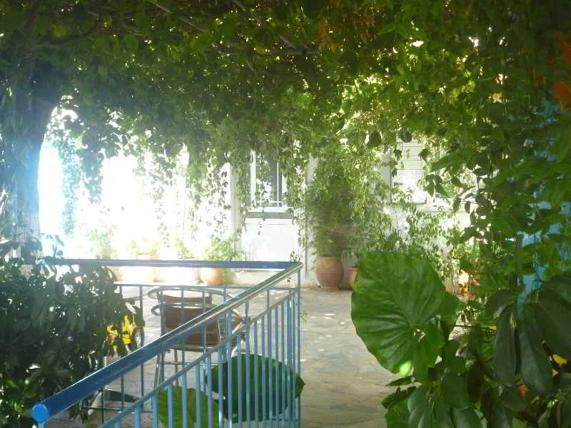 Terrace, Apartments Jota, Samos