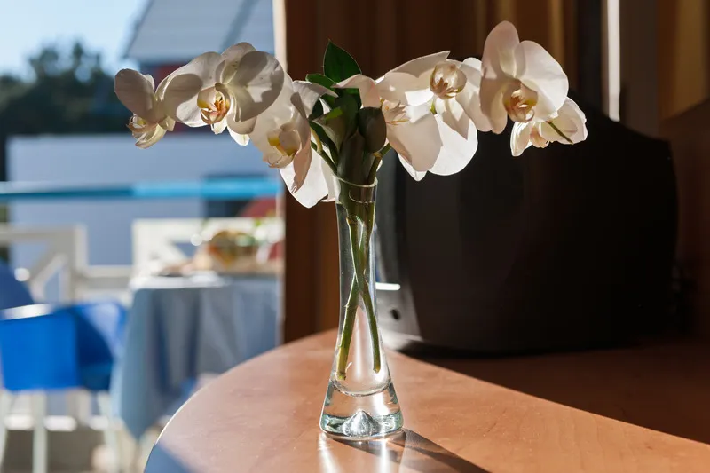 SUITE STANDARD Room, Grand Park Hotel Rovinj by Maistra Collection, Istria