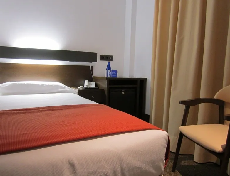 General view, Domus Plaza Zocodover Hotel, Madrid