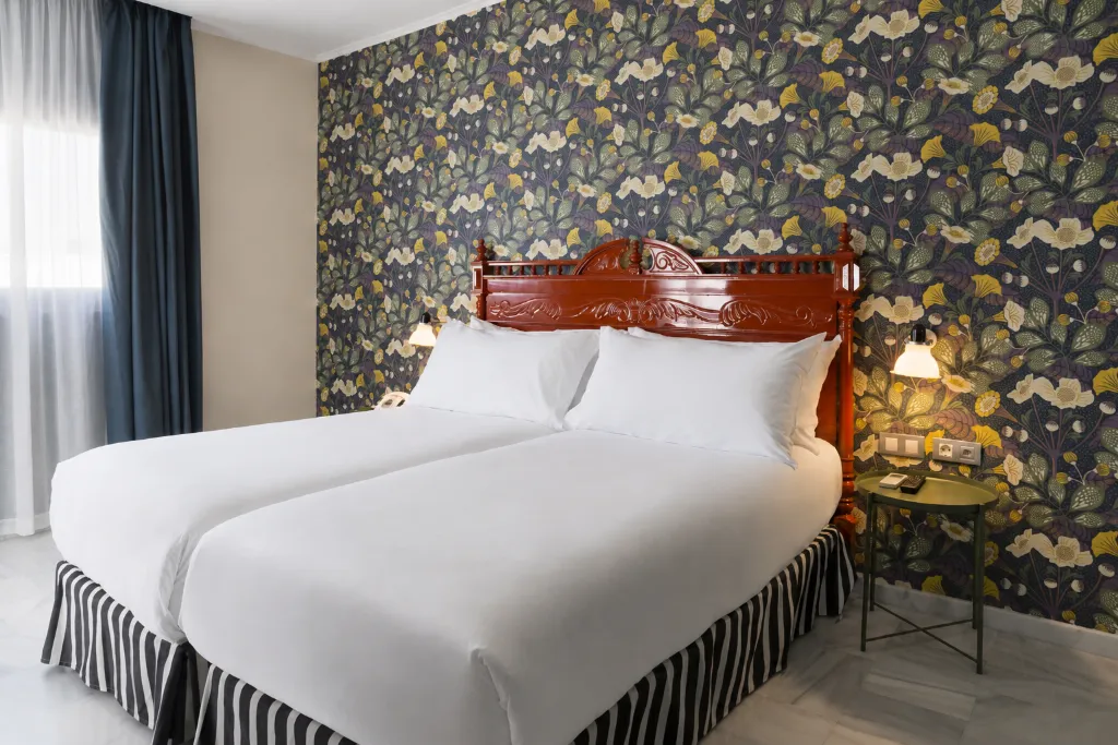 DOUBLE SINGLE USE STANDARD Room, Petit Palace Puerta de Triana, Seville