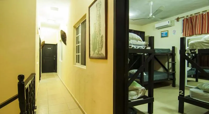 Room, Hostal Charlys, Cancun Area