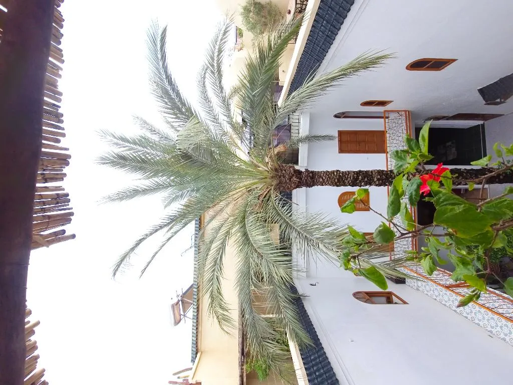 General view, Riad O-ly, Marrakech