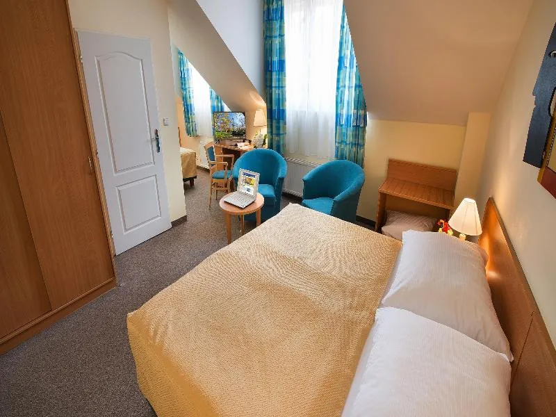 DOUBLE STANDARD Room, EA Hotel Tosca, Prague