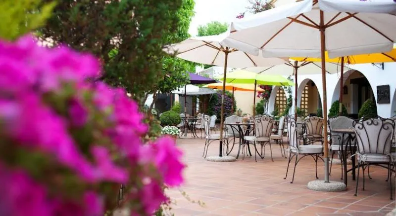 Bar, Bahia, Majorca