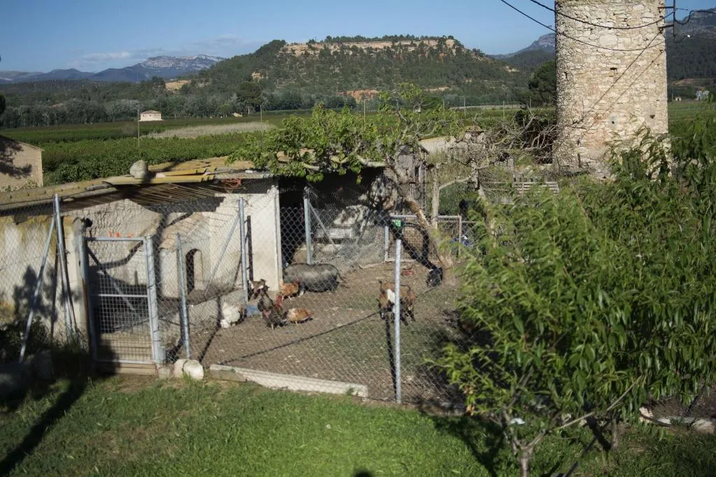 General view, Mas Taniet, Costa Dorada