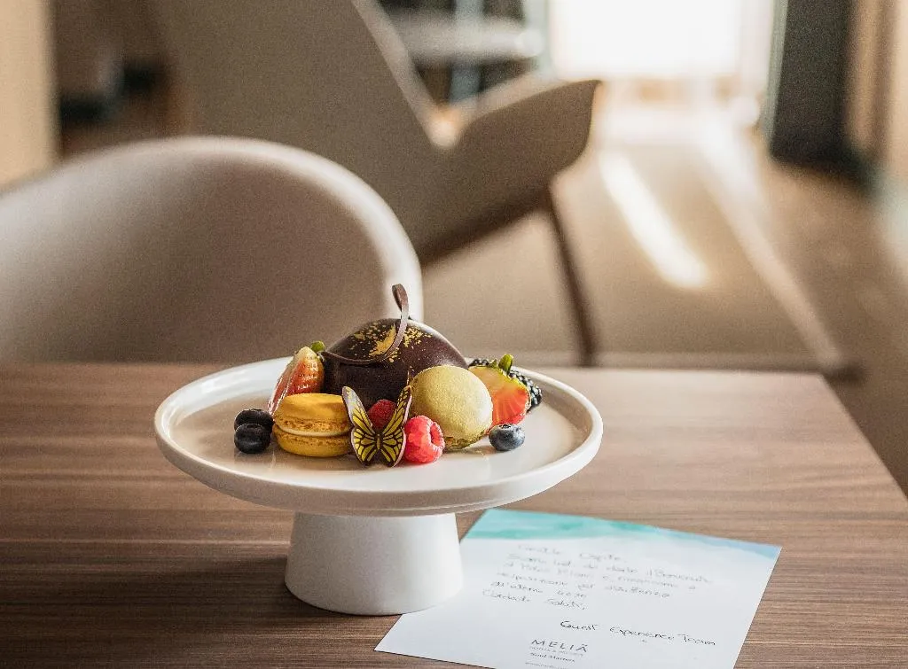 SUITE STANDARD Room, Melia Milano, Milan