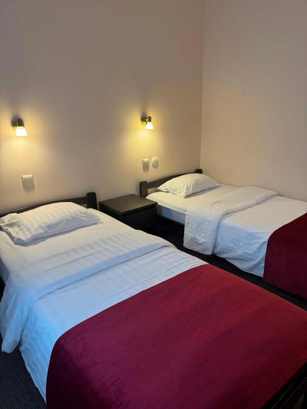 Double or Twin STANDARD Room, Avitar, Riga