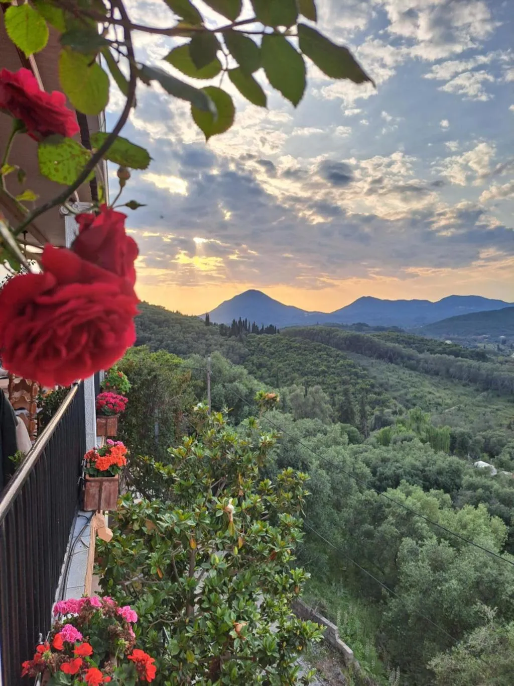 General view, 75 Steps Taverna And Accomodation, Corfu
