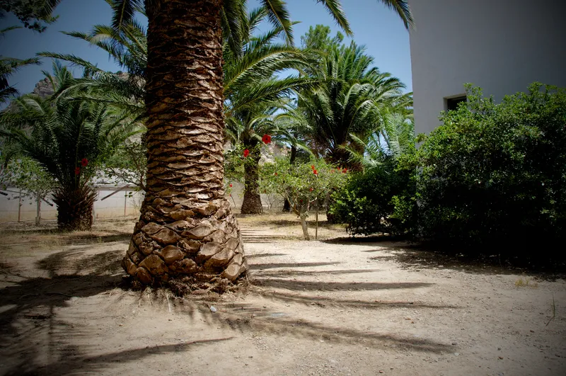General view, Avra Palm, Crete