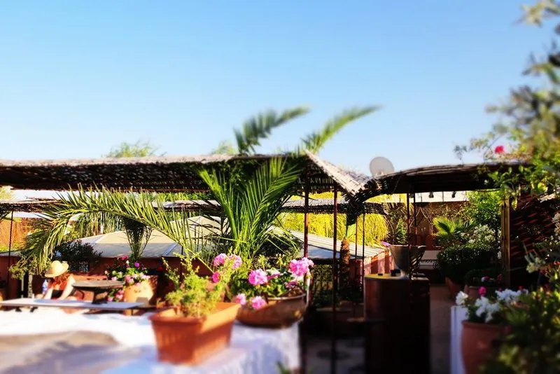 General view, Riad Ayadina, Marrakech