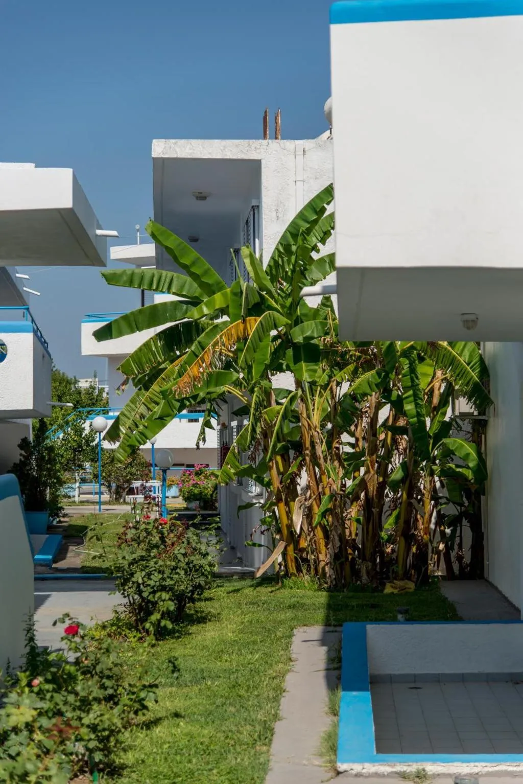 General view, Yannis Yard Studios And Apartments, Kos
