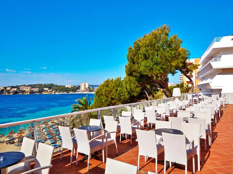 Terrace, Flamboyan - Caribe, Majorca