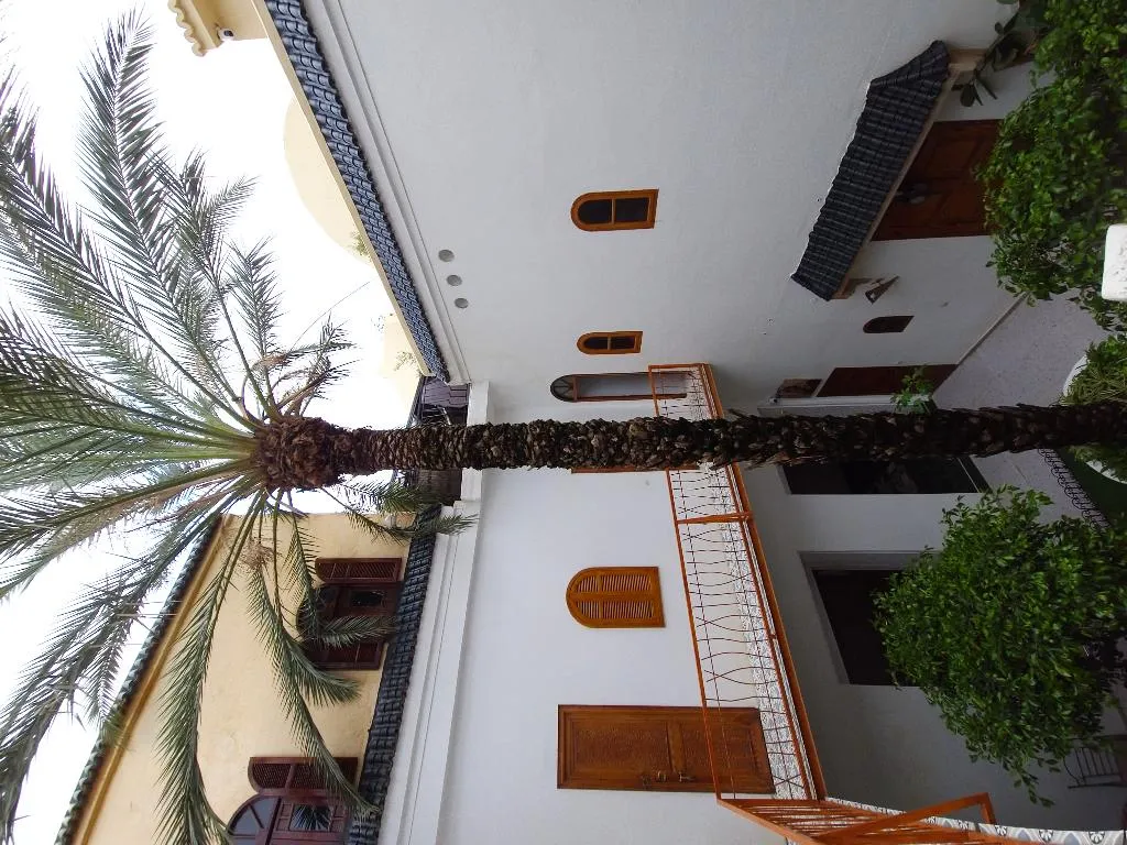 General view, Riad O-ly, Marrakech